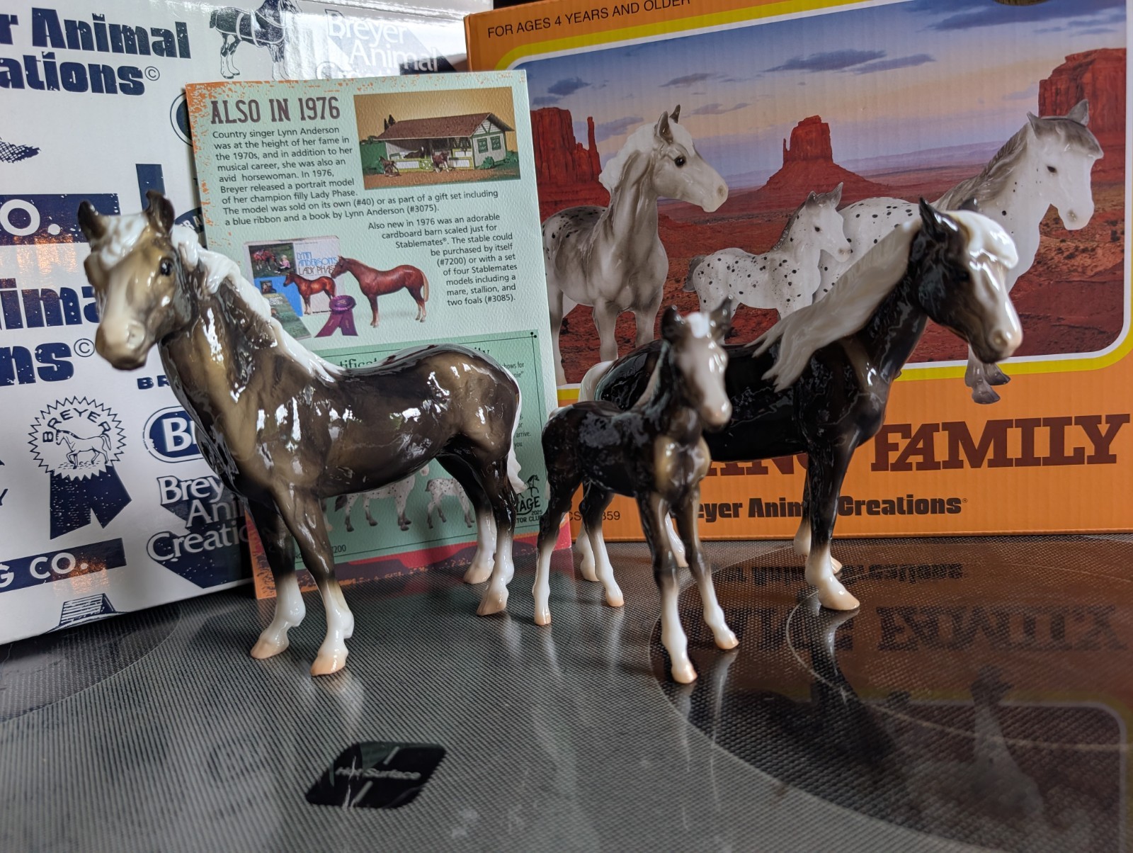 Breyer Glossy Charcoal Mustang Family 2025 Vintage Club Classic Special Run
