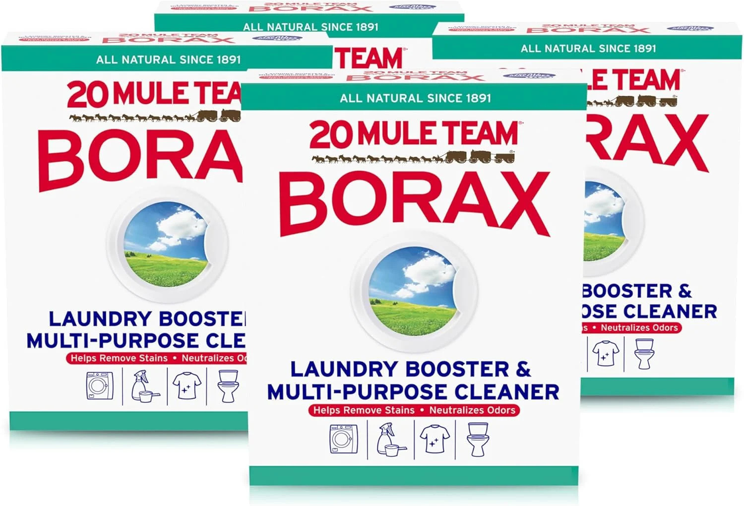 4 Count, Borax Detergent Booster & Multi-Purpose Household Cleaner, 65 Ounce