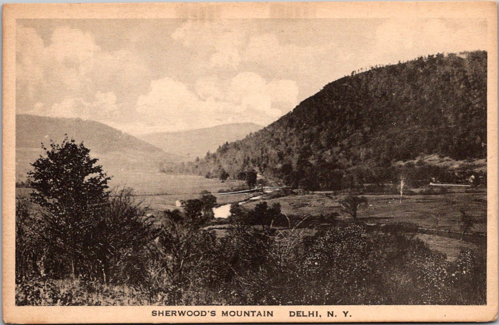 View of Sherwood’s Mountain, Delhi NY Vintage Postcard W76