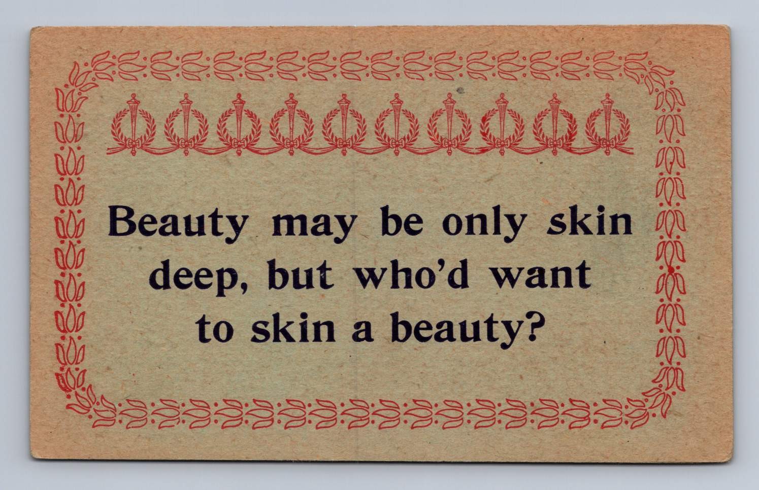 Antique Comic Postcard Beauty Skin Deep Witty Motto Divided Back 1910