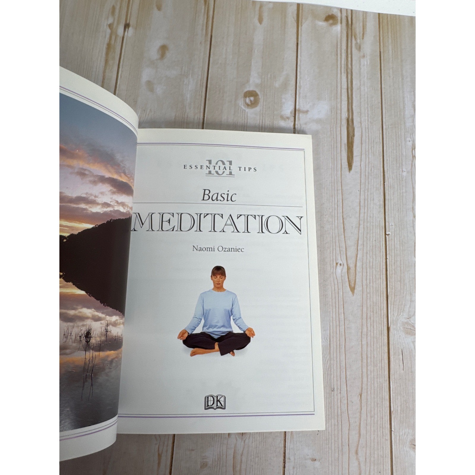 Meditation Spirituality Book Lot Everyday Meditation Buddha Dated Circle Love