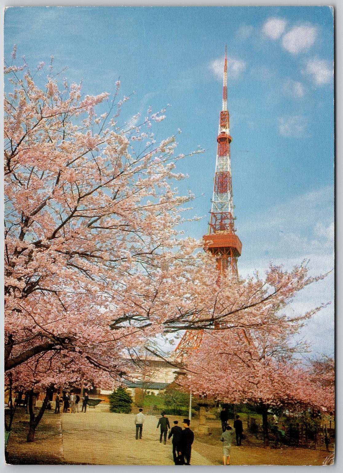 Vintage Tokyo Tower Sakura Cherry Blossoms Postcard Japan Spring Zojoji Temple