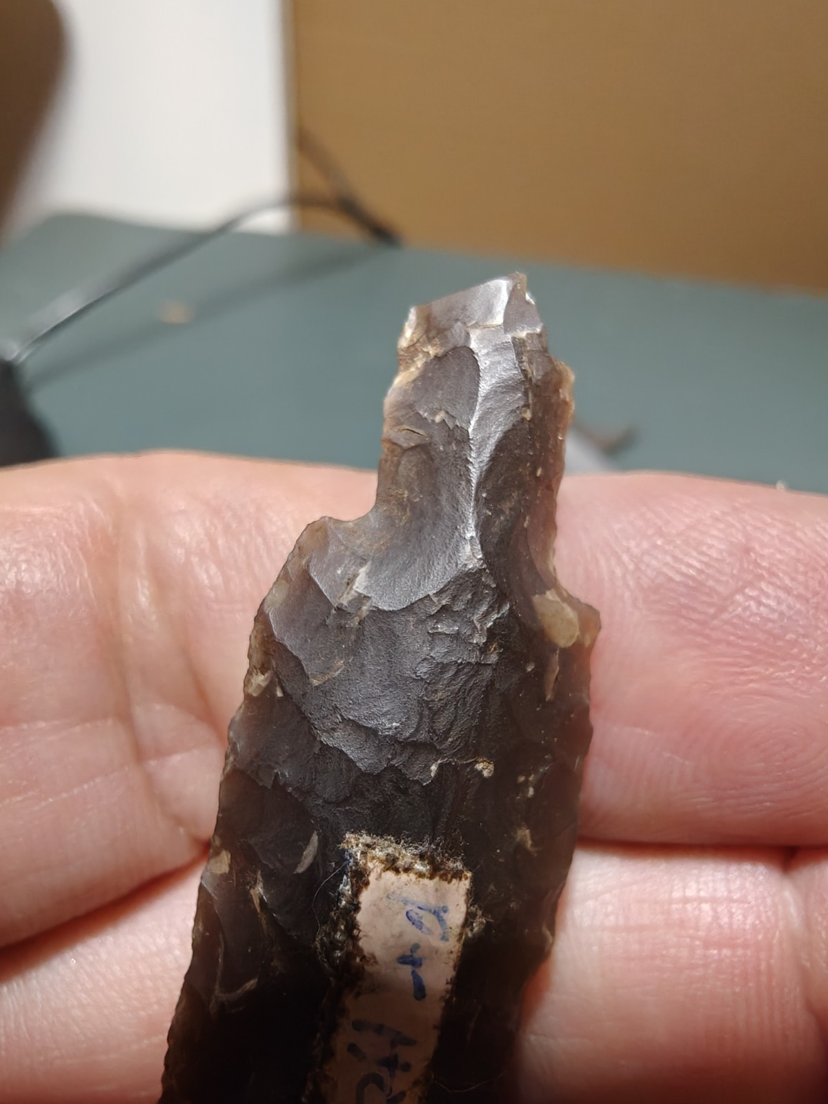 Alaskan Dark Chalcedony Bear Point 2.6″