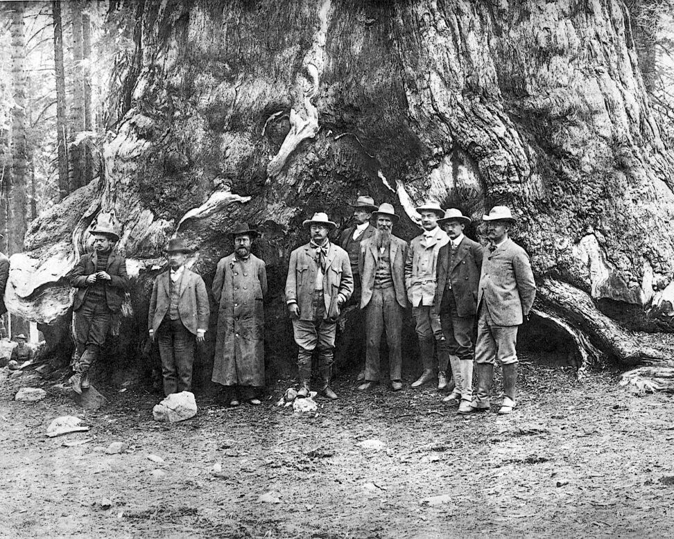 PRESIDENT THEODORE TEDDY ROOSEVELT AND JOHN MUIR 8X10 PHOTOGRAPH