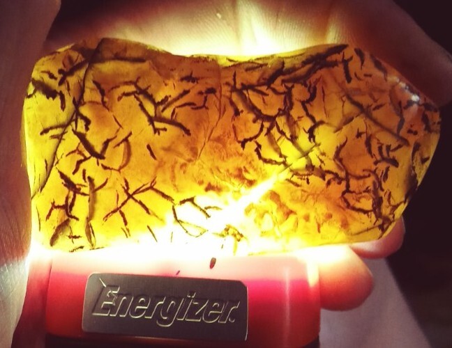 Lake Superior Agate 0.94 oz ‘RARE Honey Collectors’ Rough Minnesota Gemstone Gem