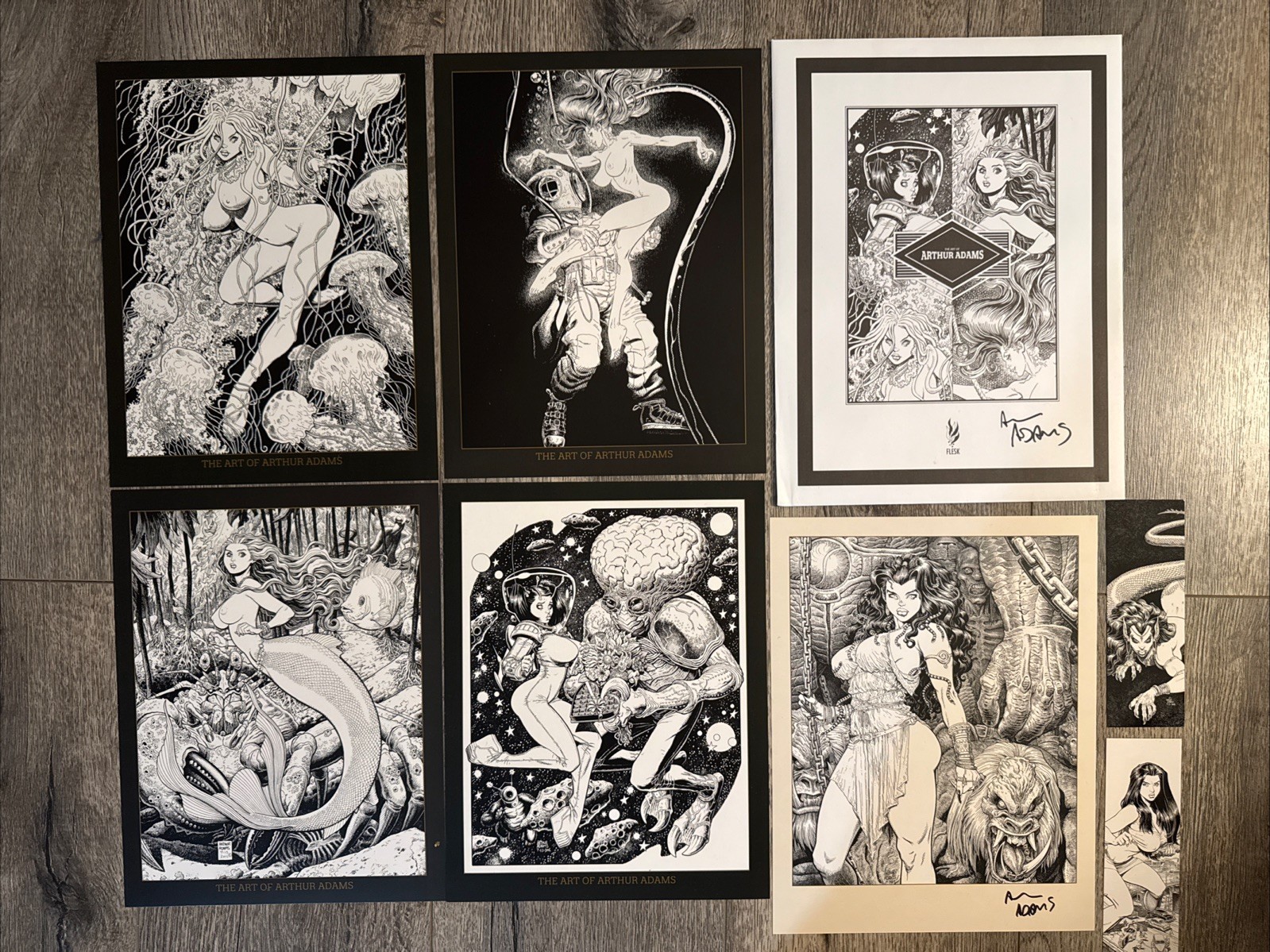 Arthur Adams Signed Portfolio Flesk Prints Kickstarter