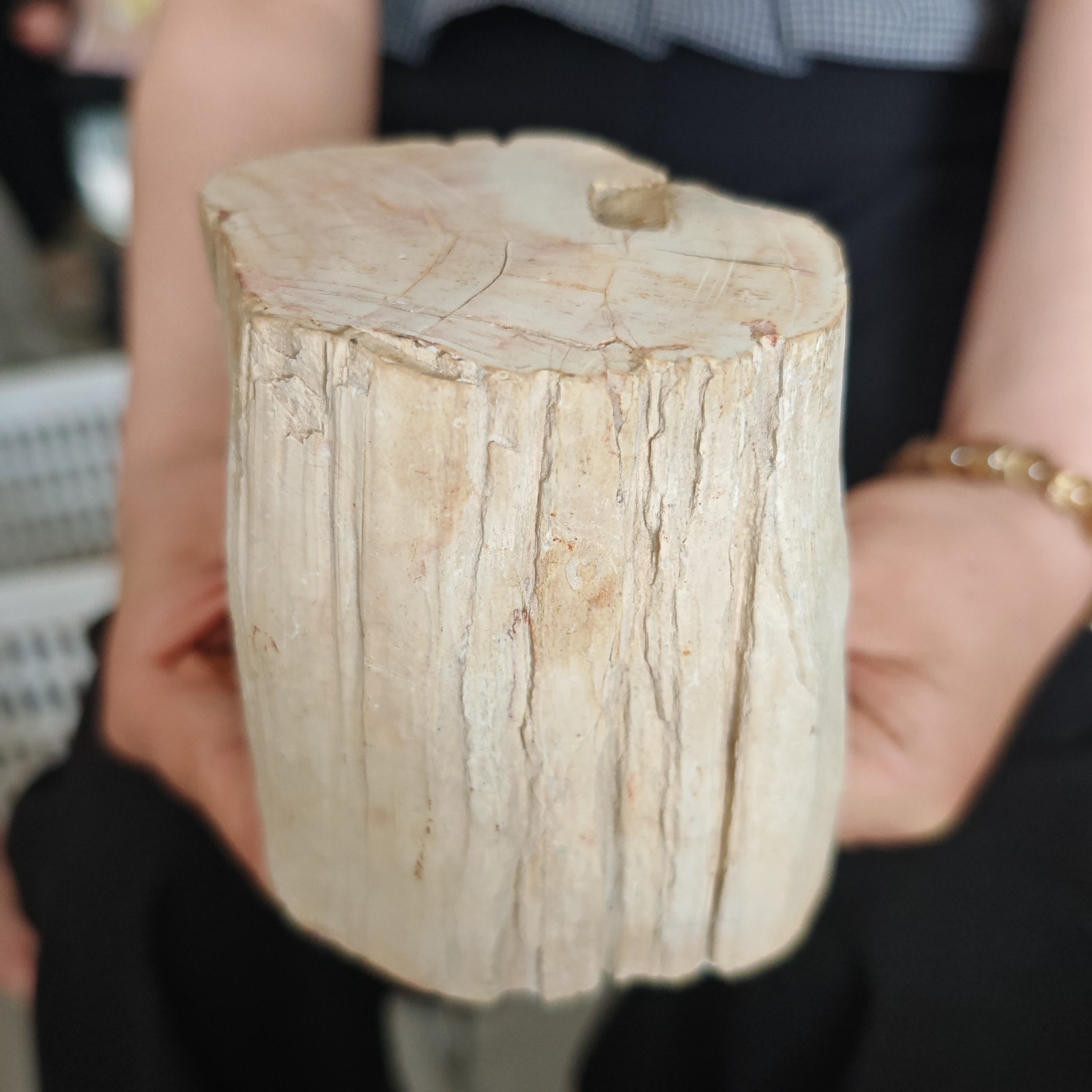 3.41LB TOP Natural Jurassic tree fossil quartz crystal Mineral specimen Healing