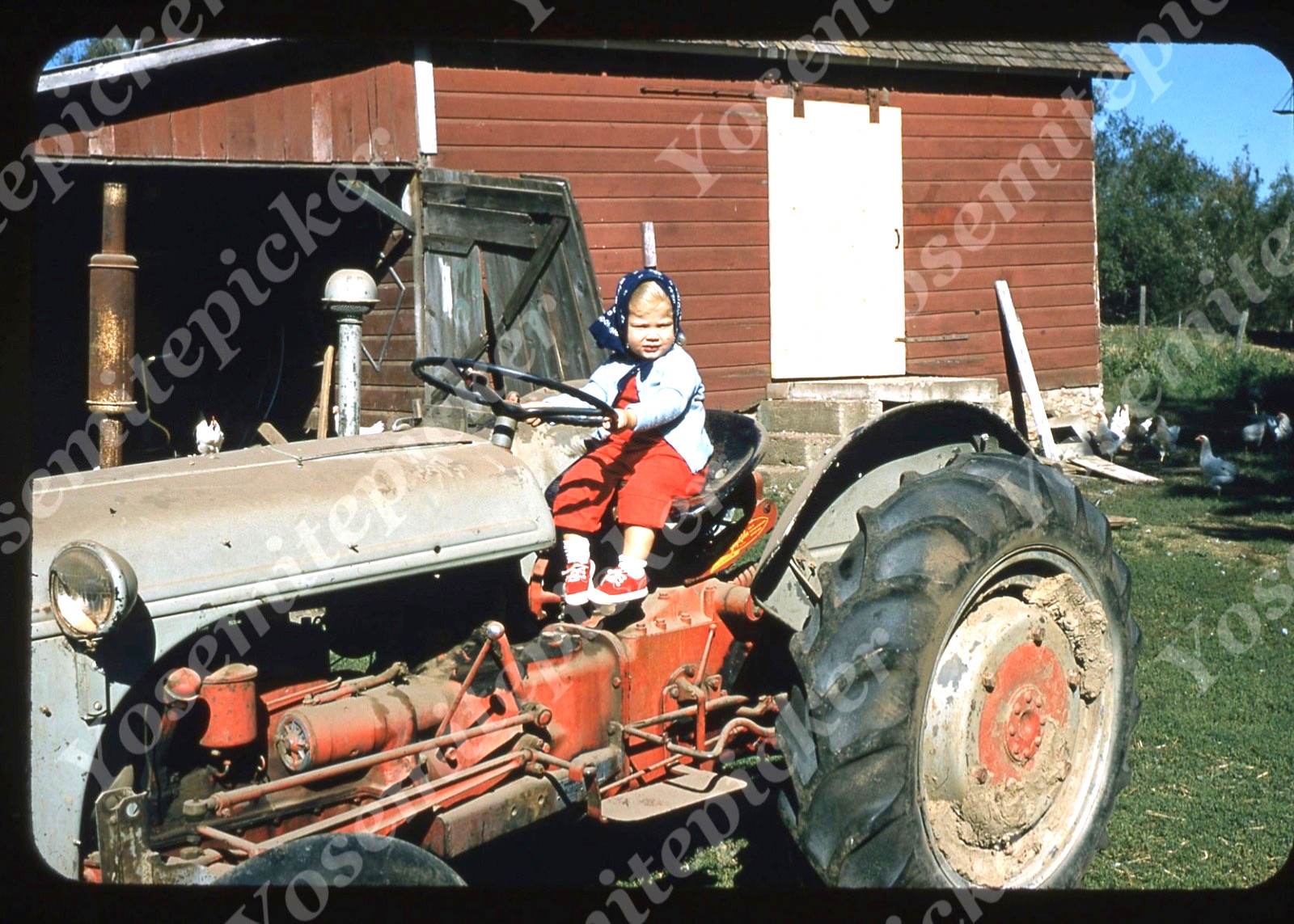 sl13 Original slide 1950’s Red Kodachrome young kid tractor 856a
