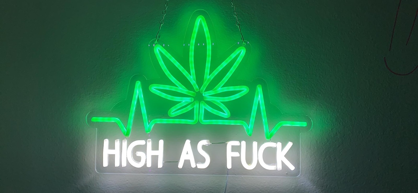16″ Marijuana High Life Weeds Leaf LED Neon Sign With Dimmer USB Powered Light