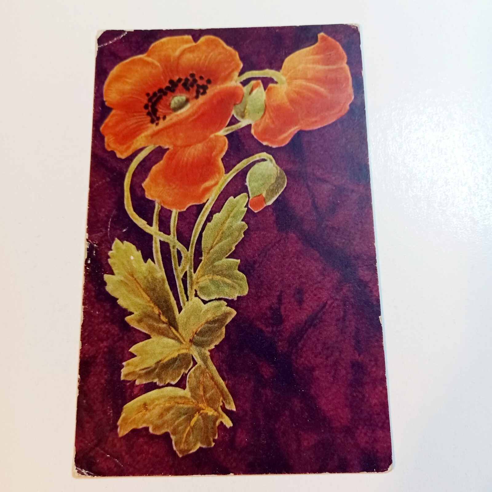 Postcard: All Occasion Poppy Flowers Leaves Crafts Junk Journal