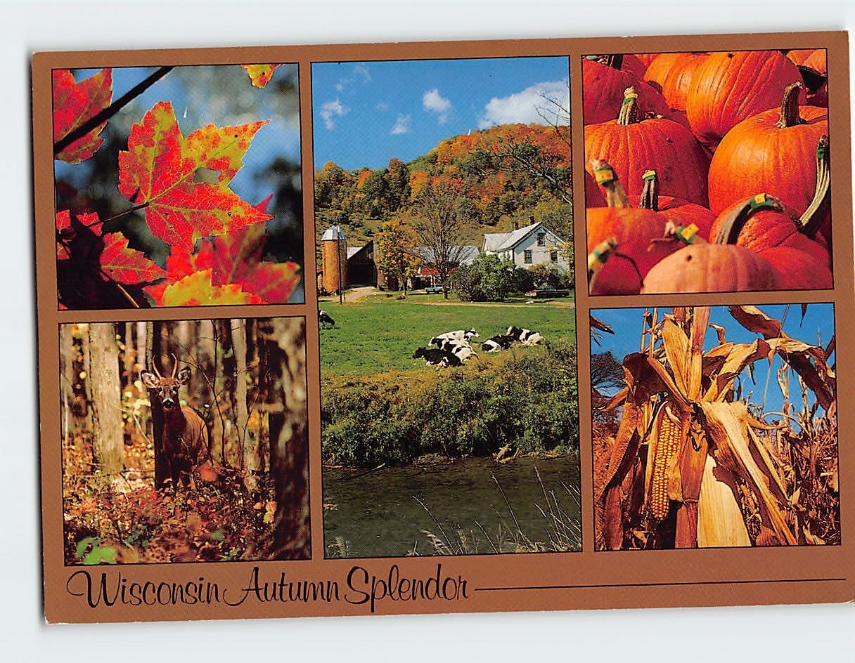 Postcard Autumn Scenes & Views Wisconsin USA