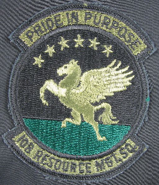 USAF Patch 108 Resource MGI Squad Winged Horse