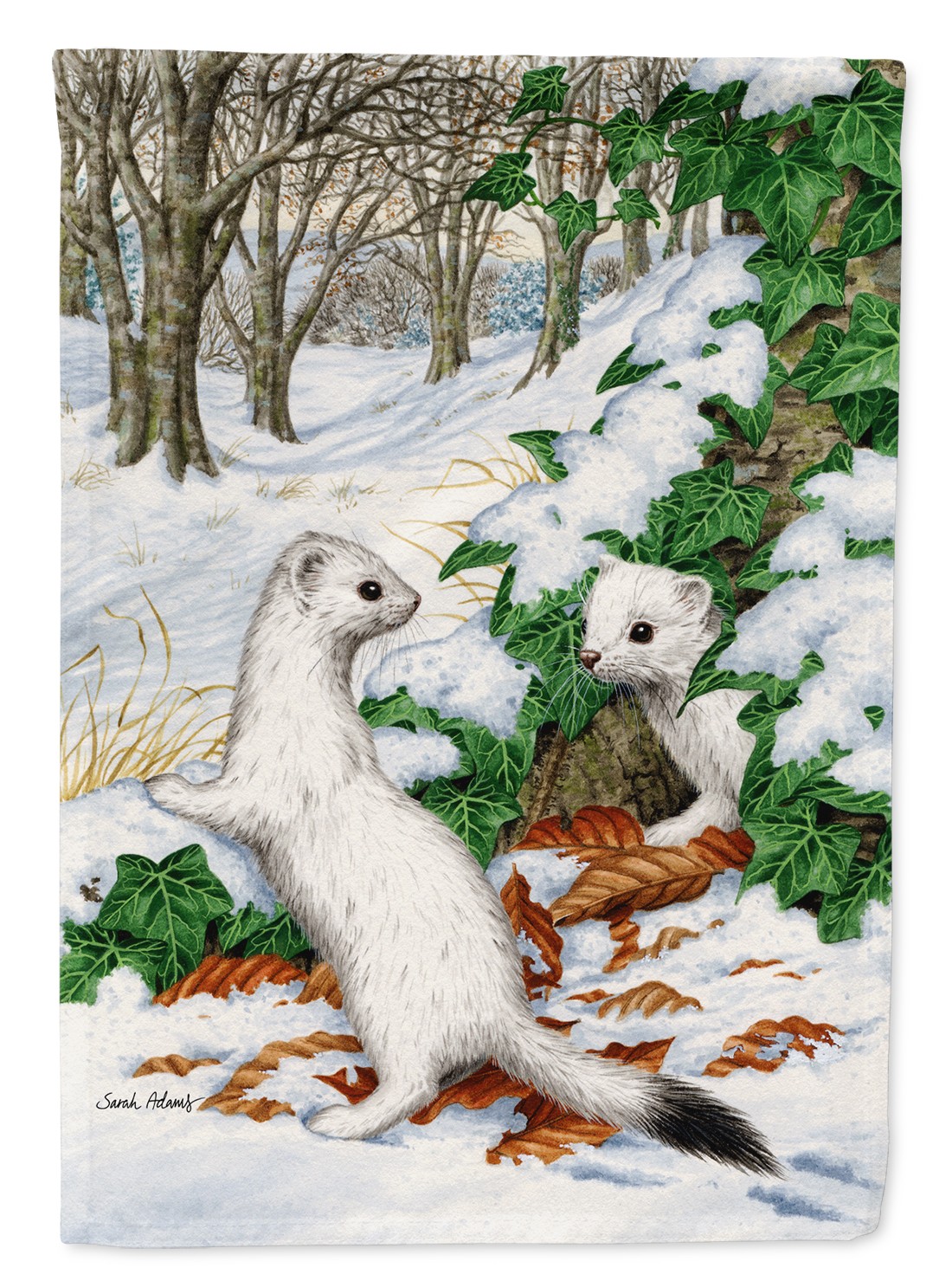 Caroline’s Treasures Stoats Short-tailed Weasel Garden Flag ASA2042GF