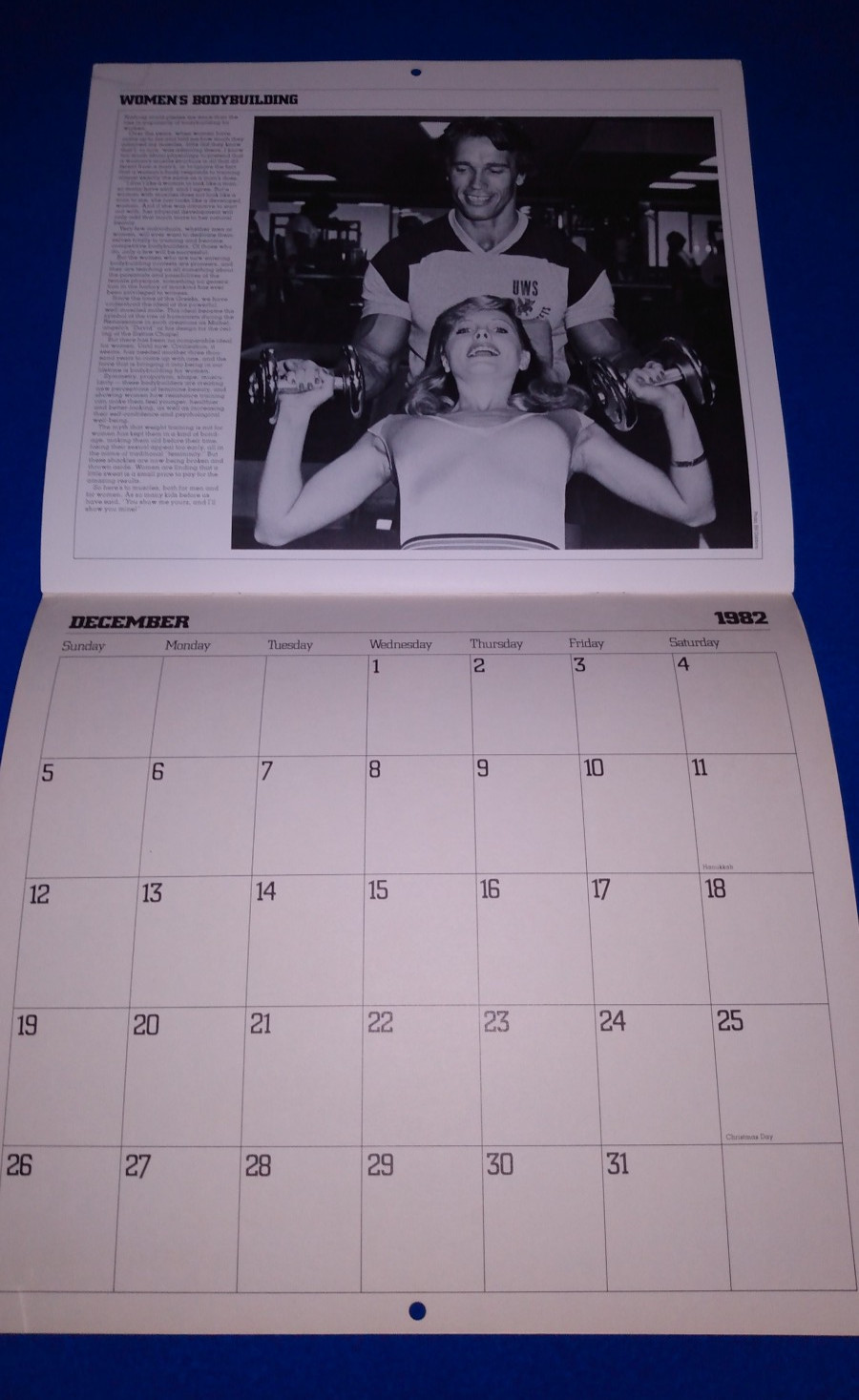 Arnold Schwarzenegger Calendar 1982 Vintage Bodybuilding Unmarked Works For 2027