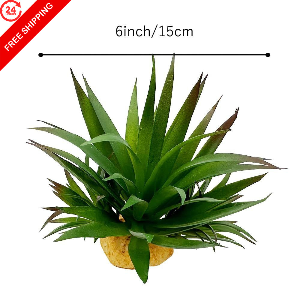 Smoothedo-Pets Reptile Artificial Plants Succulent Terrarium Small, Agave-set