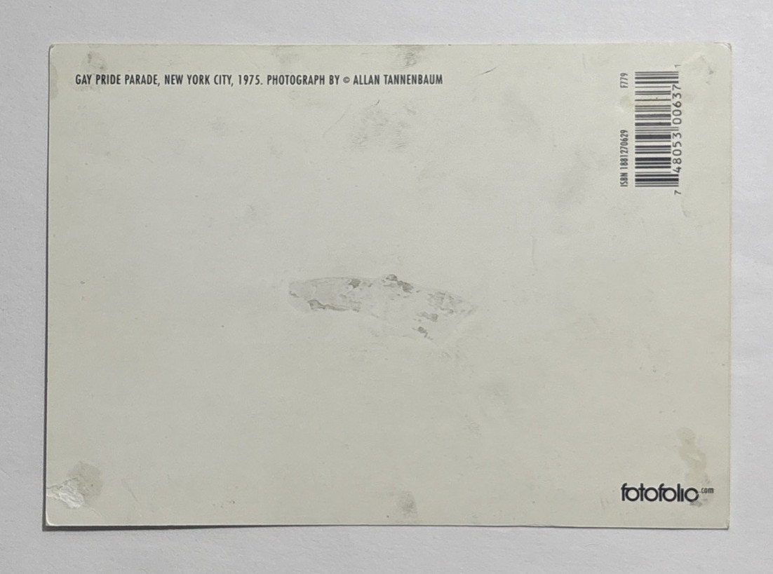 Gay Pride Parade New York City New York circa 1975 Postcard Reprint Unposted