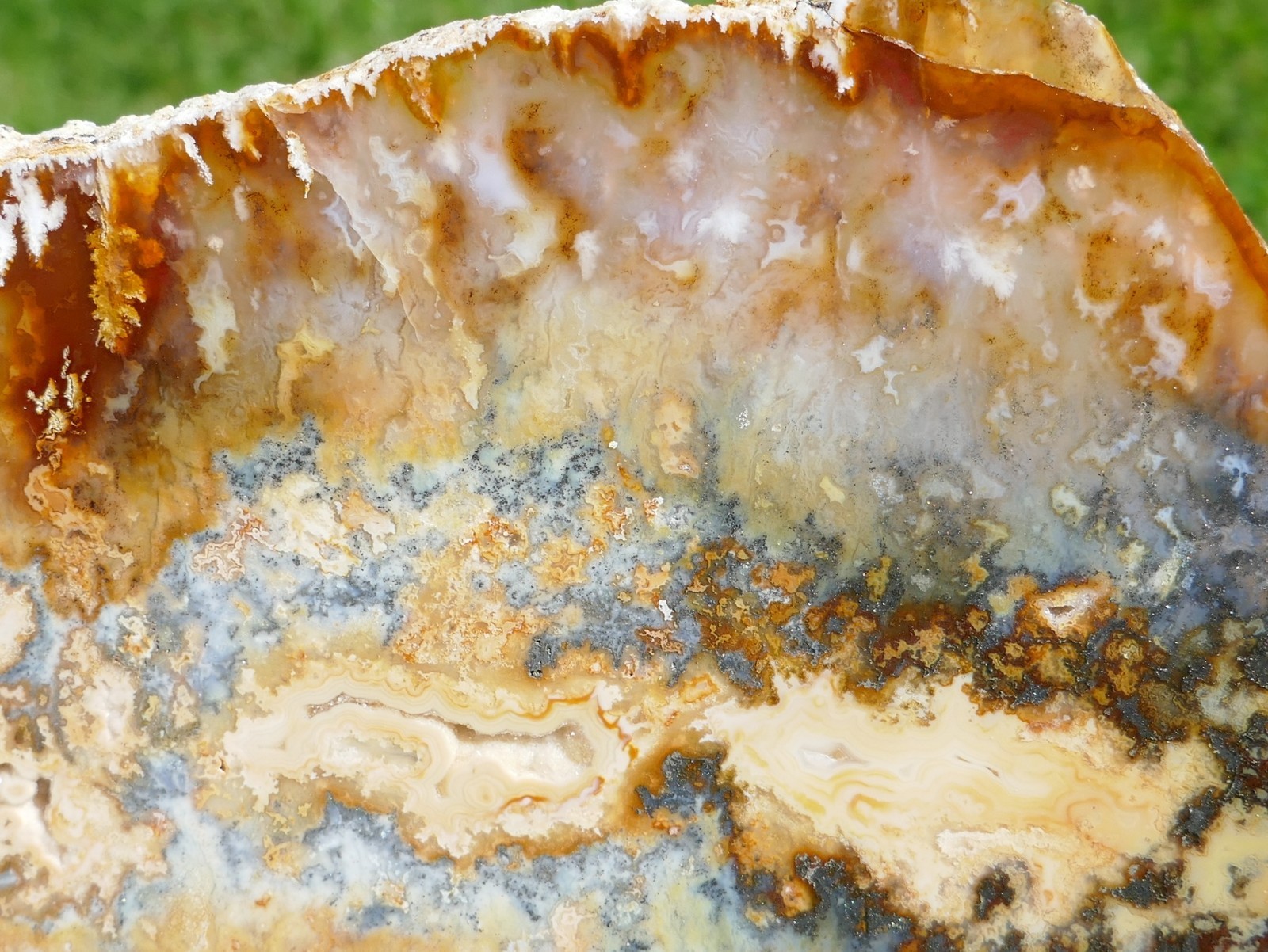 TCR Regency Rose Plume Agate *Polished Marcasite & Drusy Slab 293g | Oregon