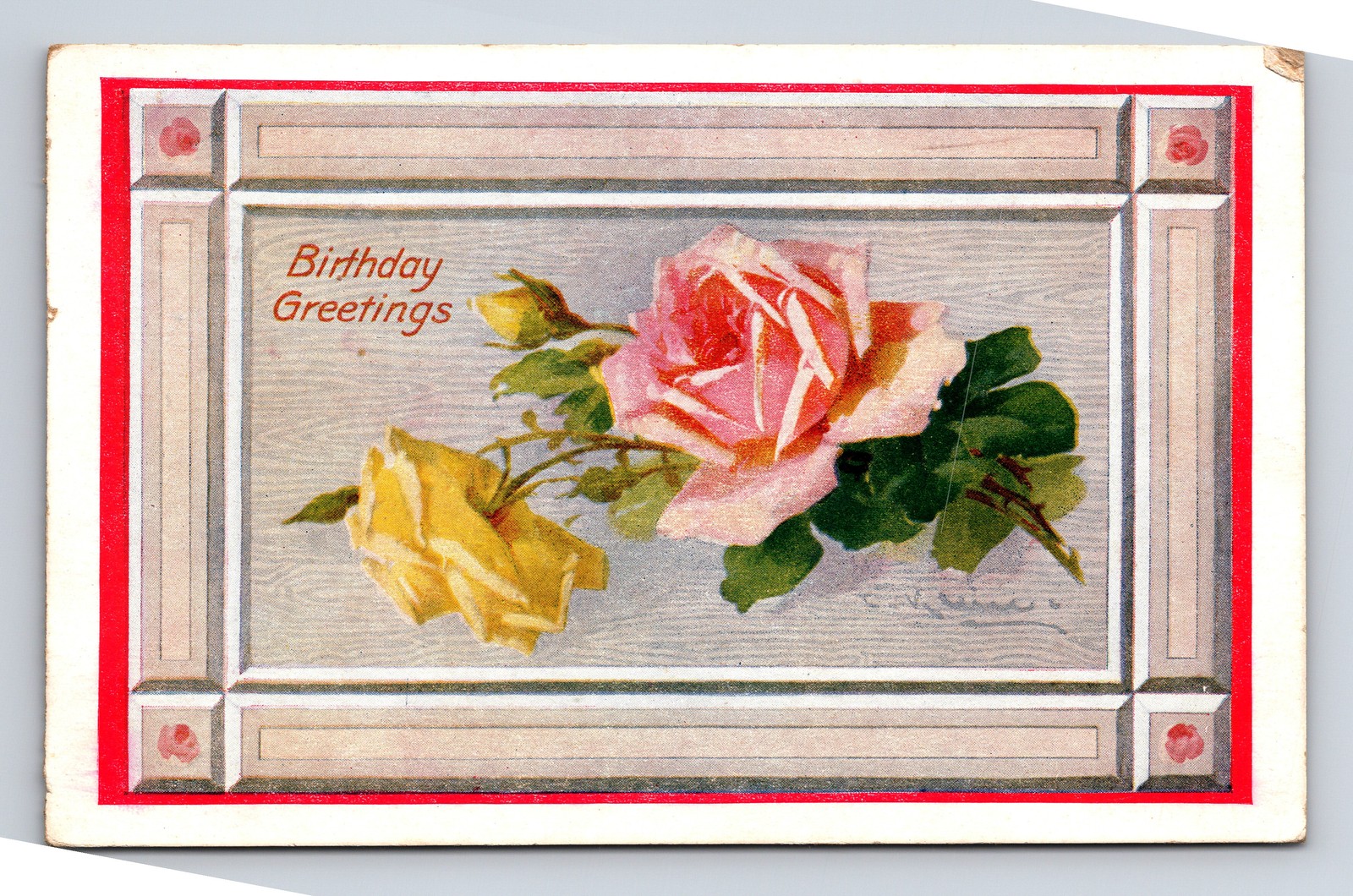 Artist Catherine “C” Kline Yellow & Pink Rose Birthday Greetings Postcard