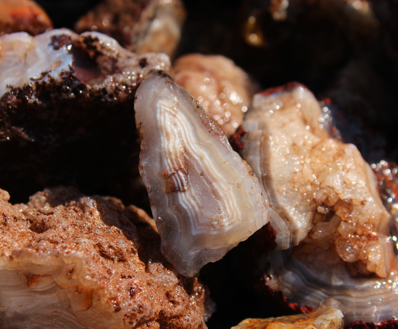 Calandria Agate Nodules – Rough Rocks for Lapidary/Cabochon – Bulk Wholesale