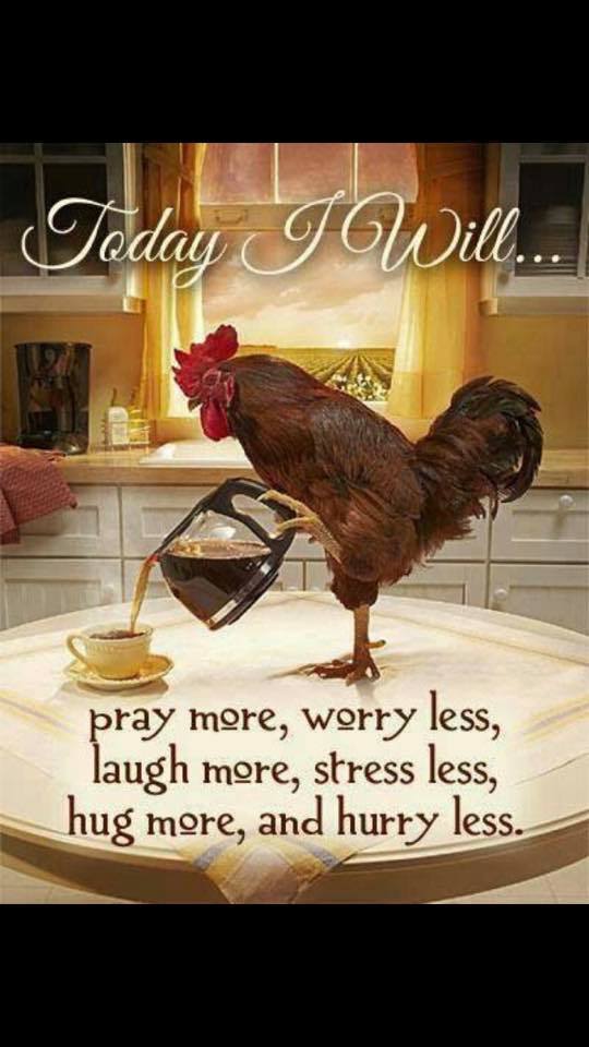 Funny Good morning chicken refrigerator magnet 3 1/2 x 4 1/2″
