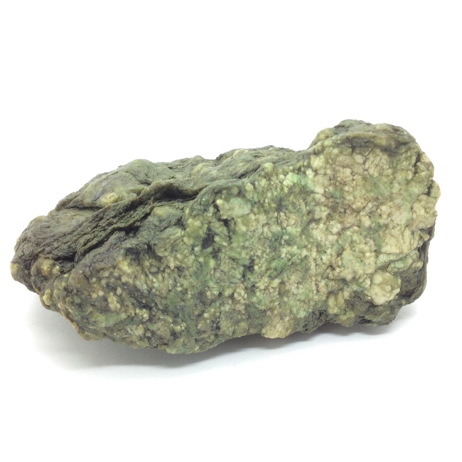 Trinity Alps Botryoidal Jade Stone Green Nephrite Jade Cobble Specimen CA #13
