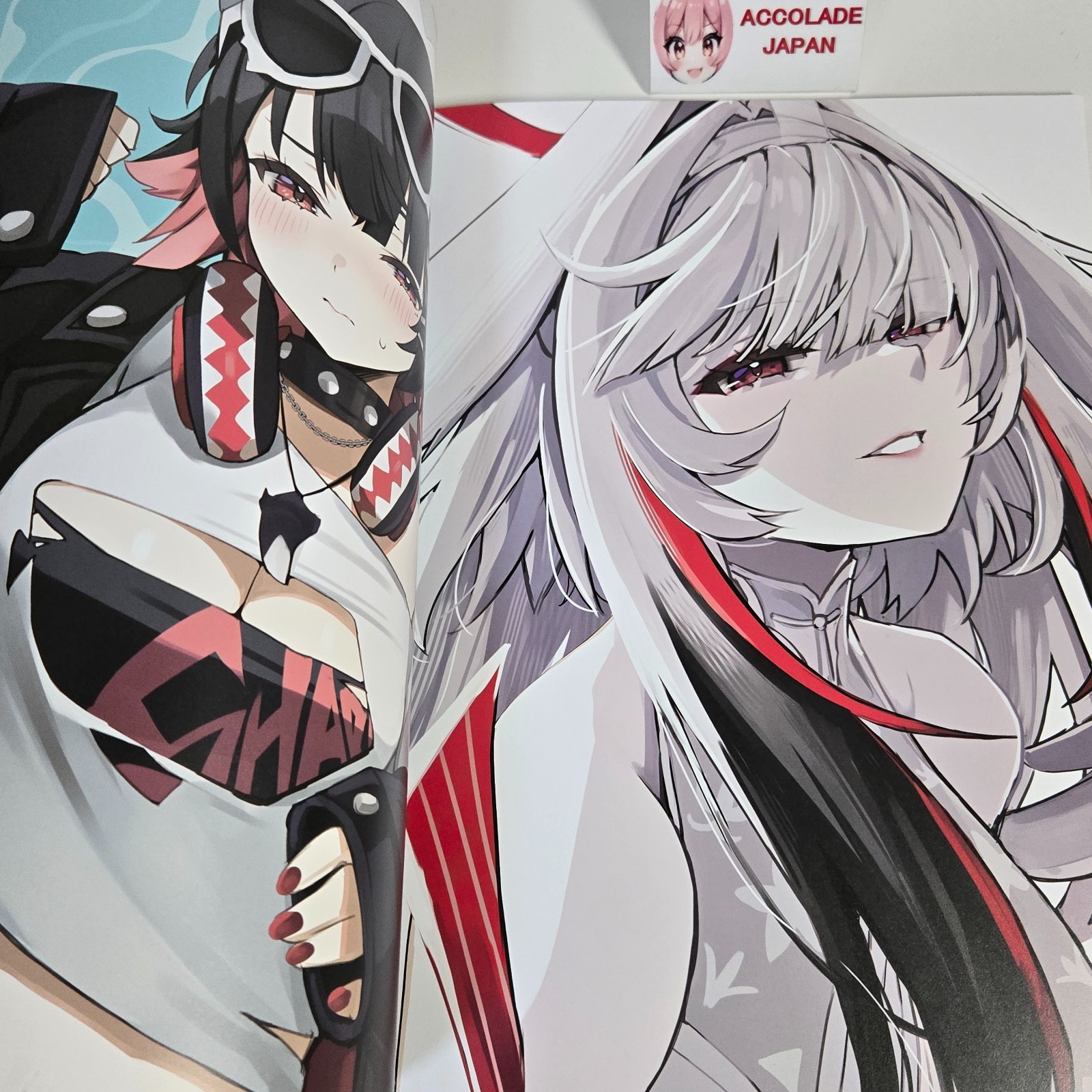 Z.Z.S 2 Zenless Zone Zero Art Book Natsume Eri Ichigosize A4/16P Doujinshi C107
