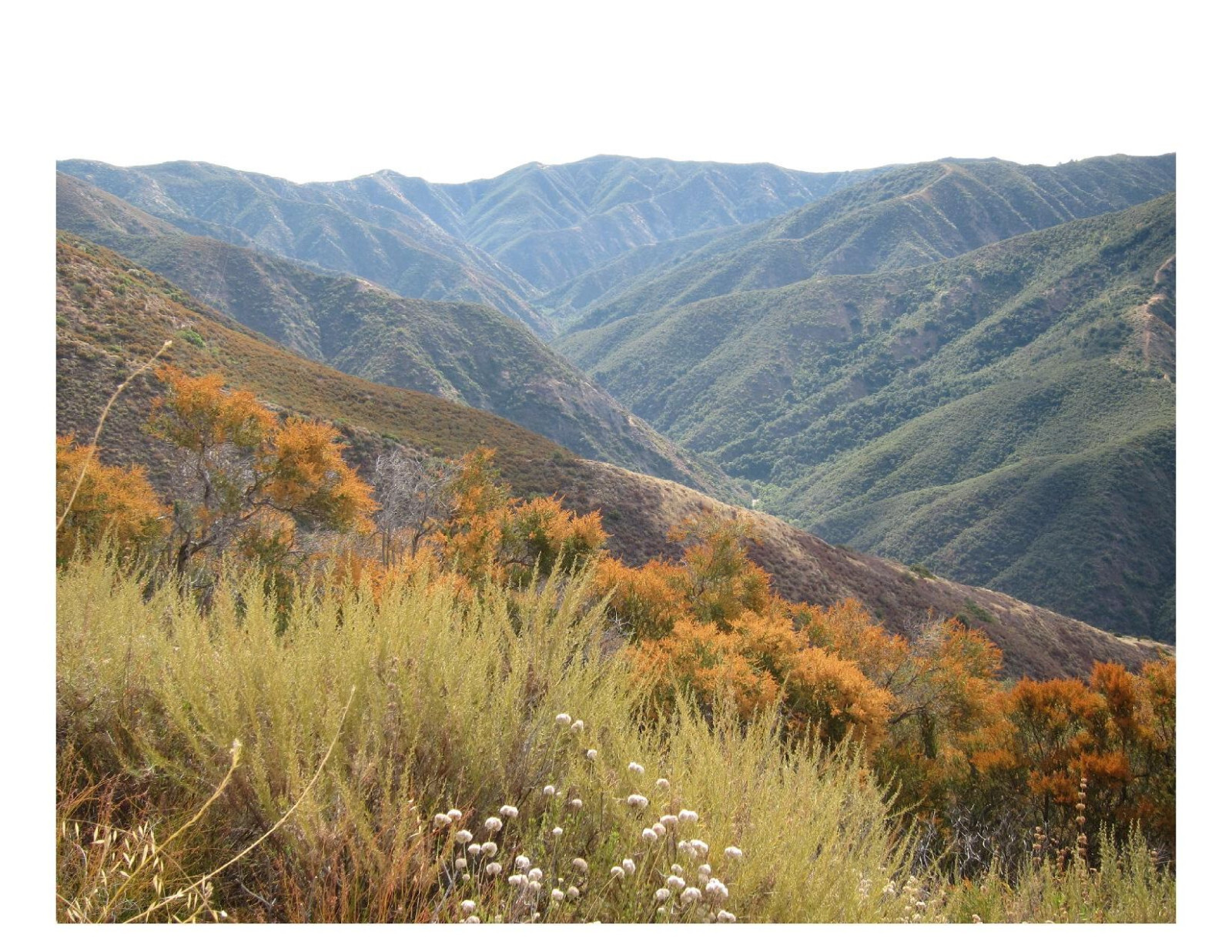 Silverado Canyon – California 8×10 Photo On 8.5″ x 11″