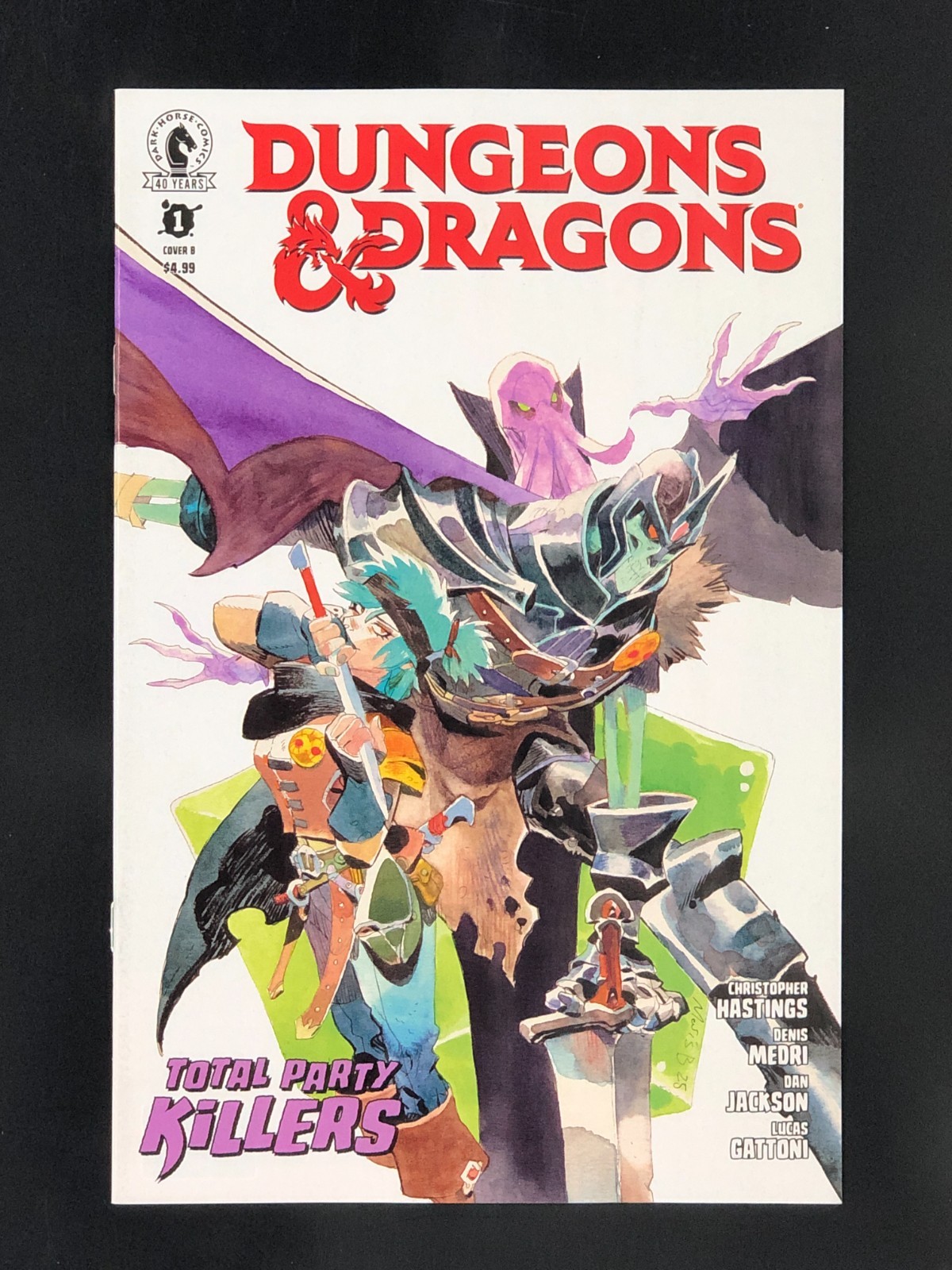 Dungeons & Dragons Total Party Killers #1 Matias Bergara 1:20 Variant Cover B NM