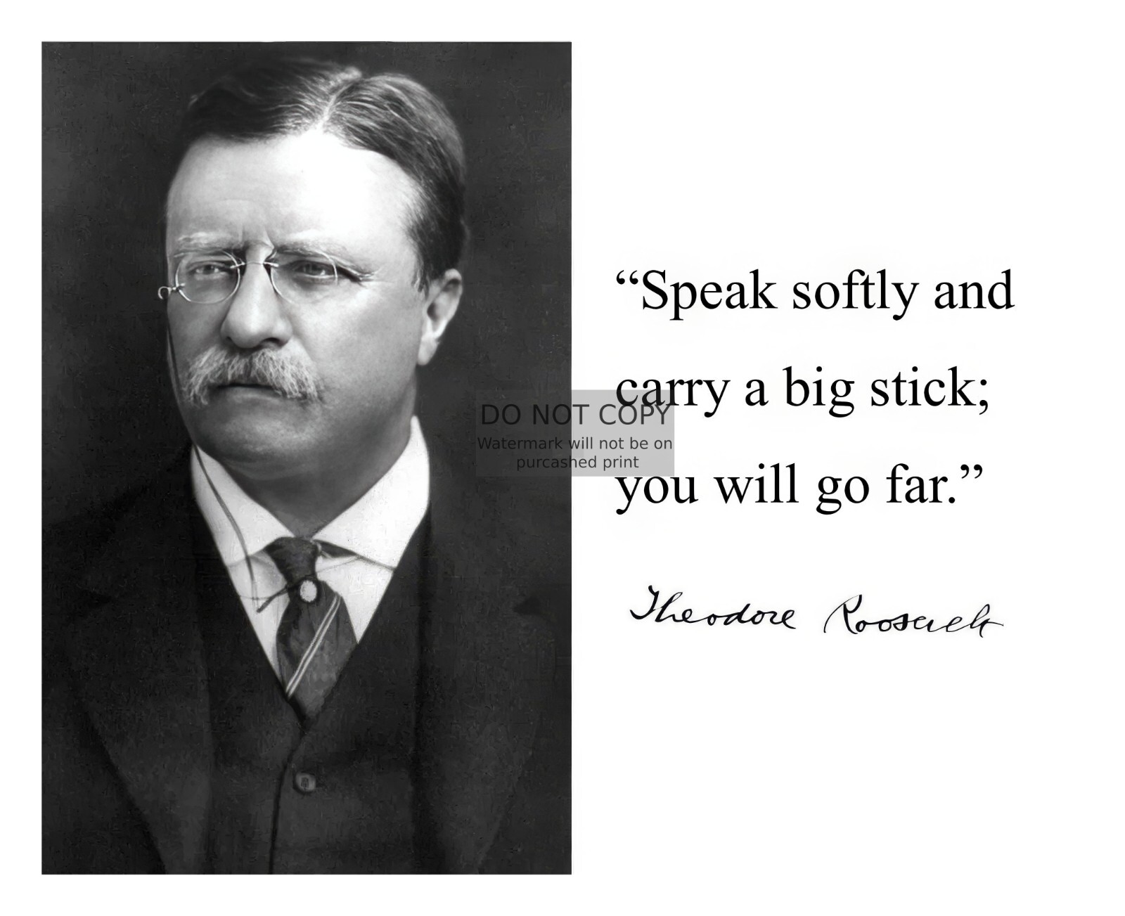 PRESIDENT THEODORE ROOSEVELT “SPEAK SOFTLY CARRY A BIG STICK” QUOTE 8X10 PHOTO