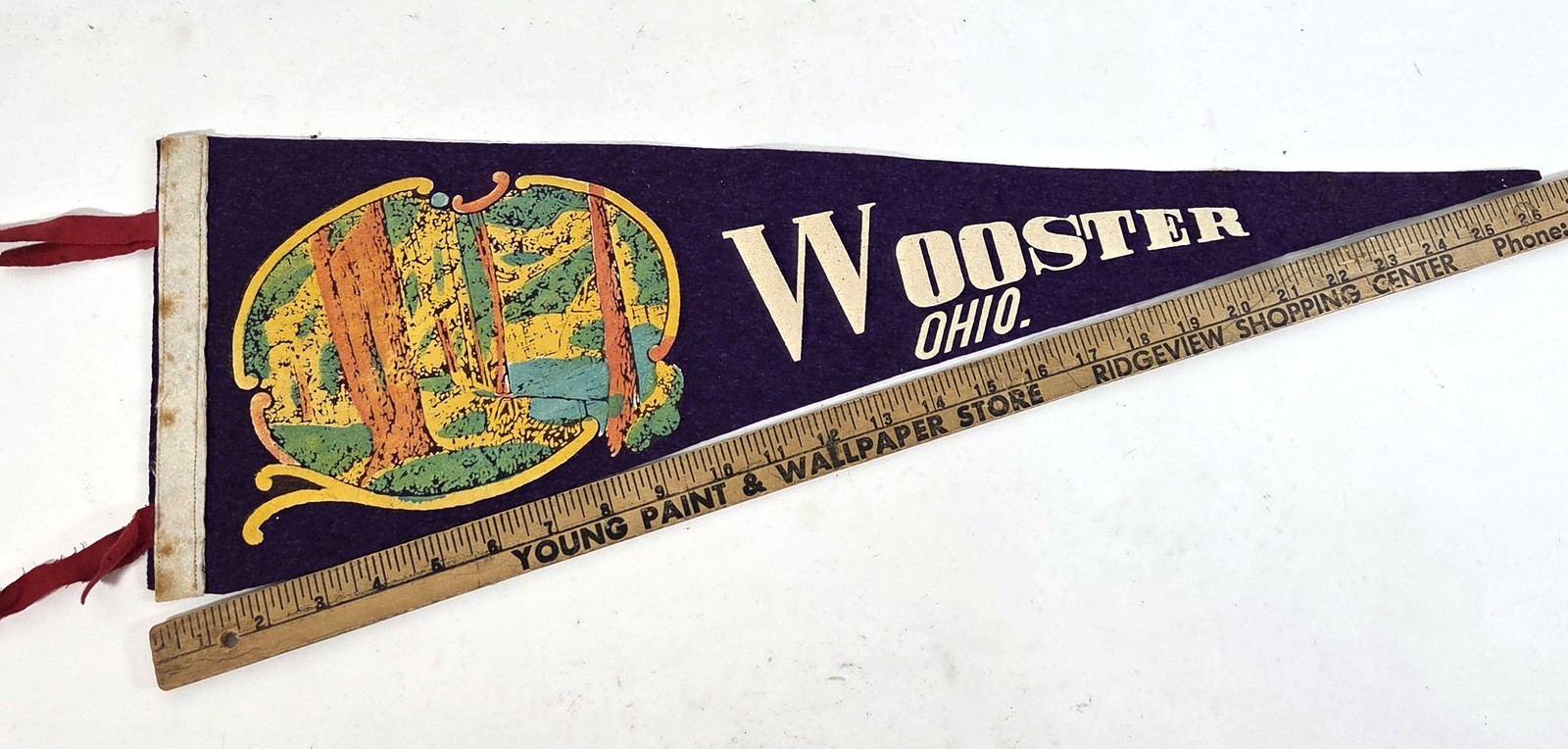 Vintage Wooster Ohio Souvenir Felt Pennant Scenic Landscape Travel Memorabilia