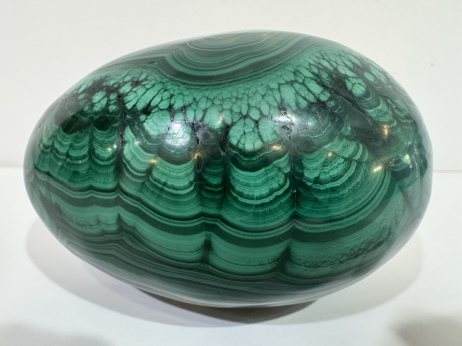 Gorgeous Large Polished Malachite Egg Vivid Banding 2 Lbs 11 Oz. 4.25” X 3”