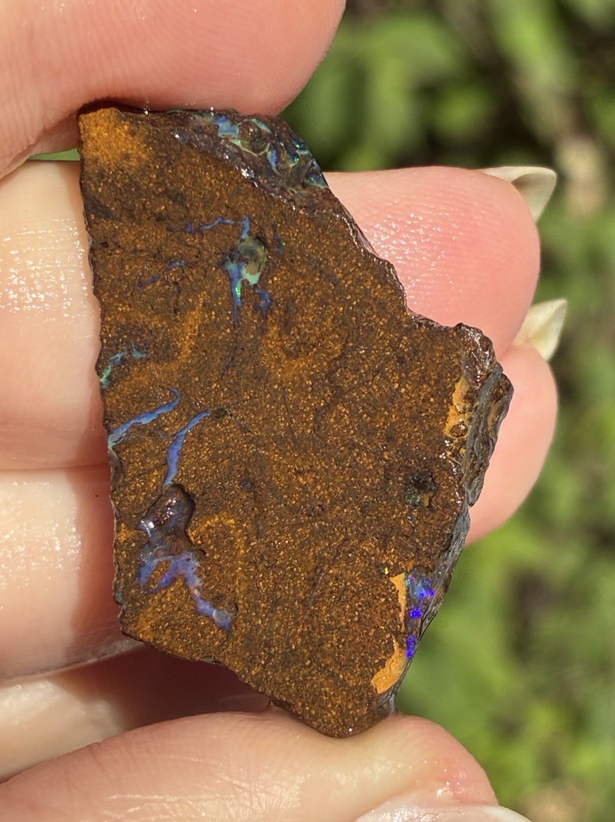 Pretty 47ct Australian Boulder Opal Rough Loose Multicolor Specimen PP