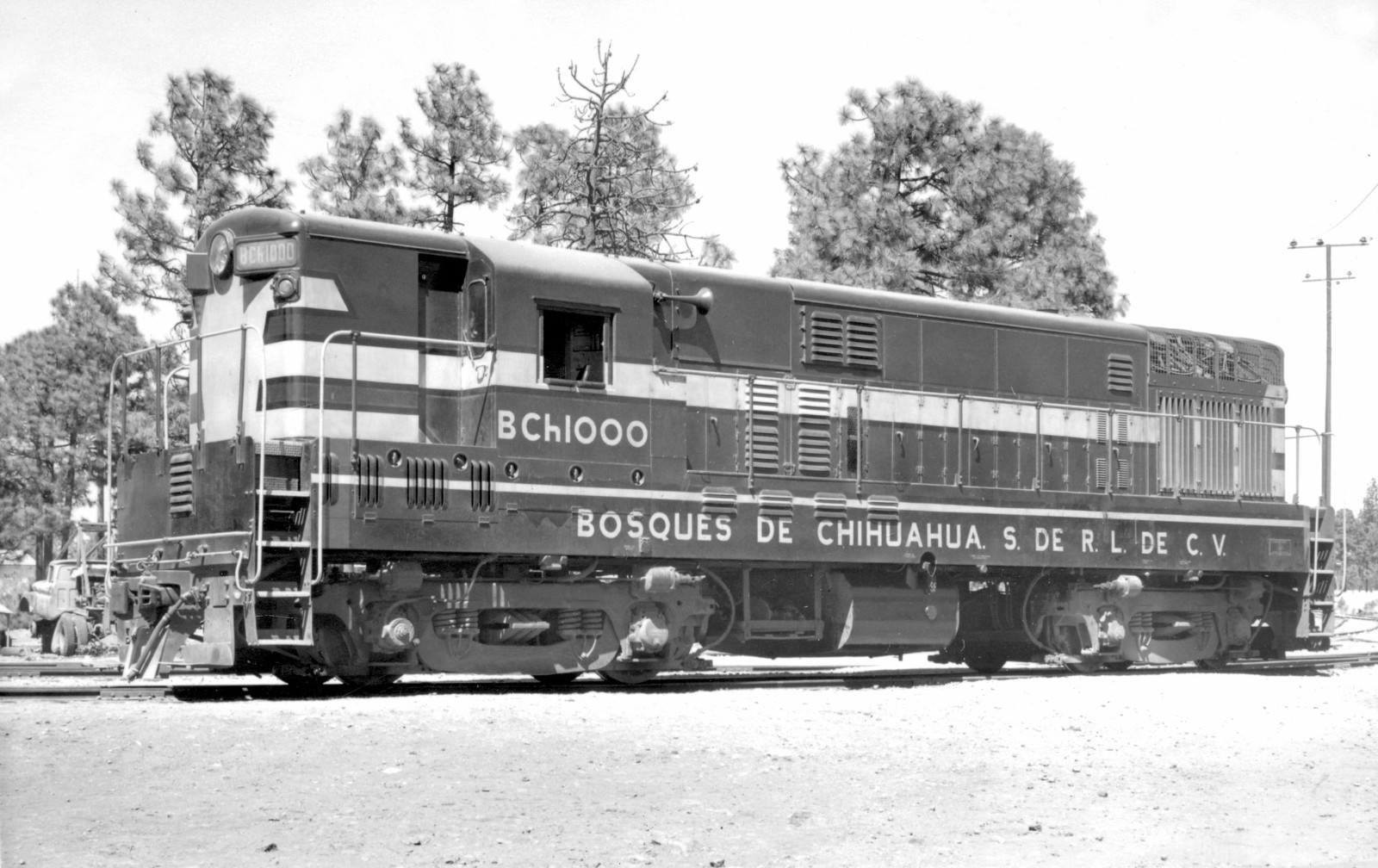 Bosques de Chihuahua FM H16-44 1000 date, location unknown 8 x 10 Photo