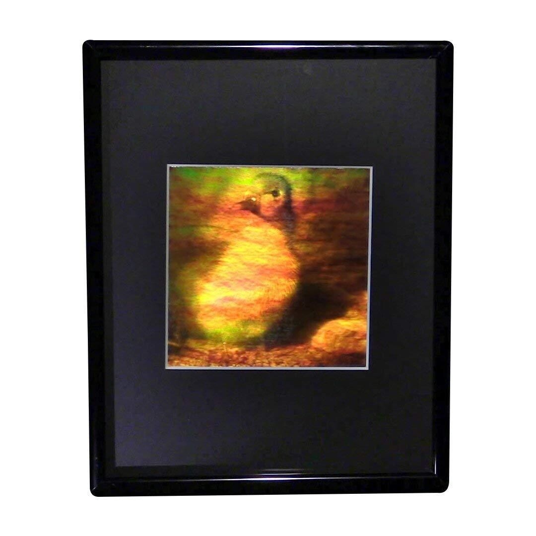 3D Duckling Hologram Picture FRAMED, Collectible EMBOSSED Type Film