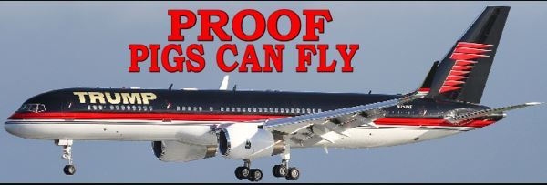 PROOF PIGS CAN FLY BUMPER STICKER – ANTI Trump POLITICAL FUNNY