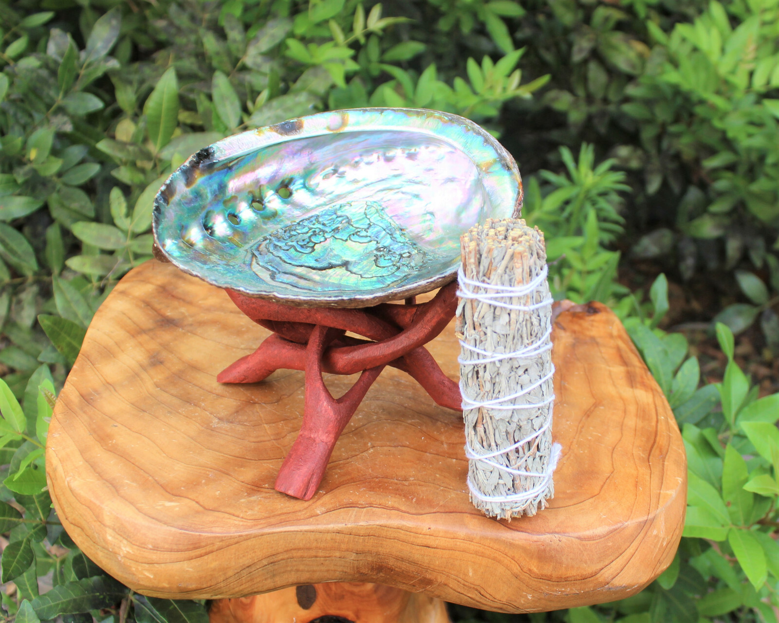 Smudge Kit: Abalone Shell, 6″ Stand, Sage Smudge Stick PLUS Directions