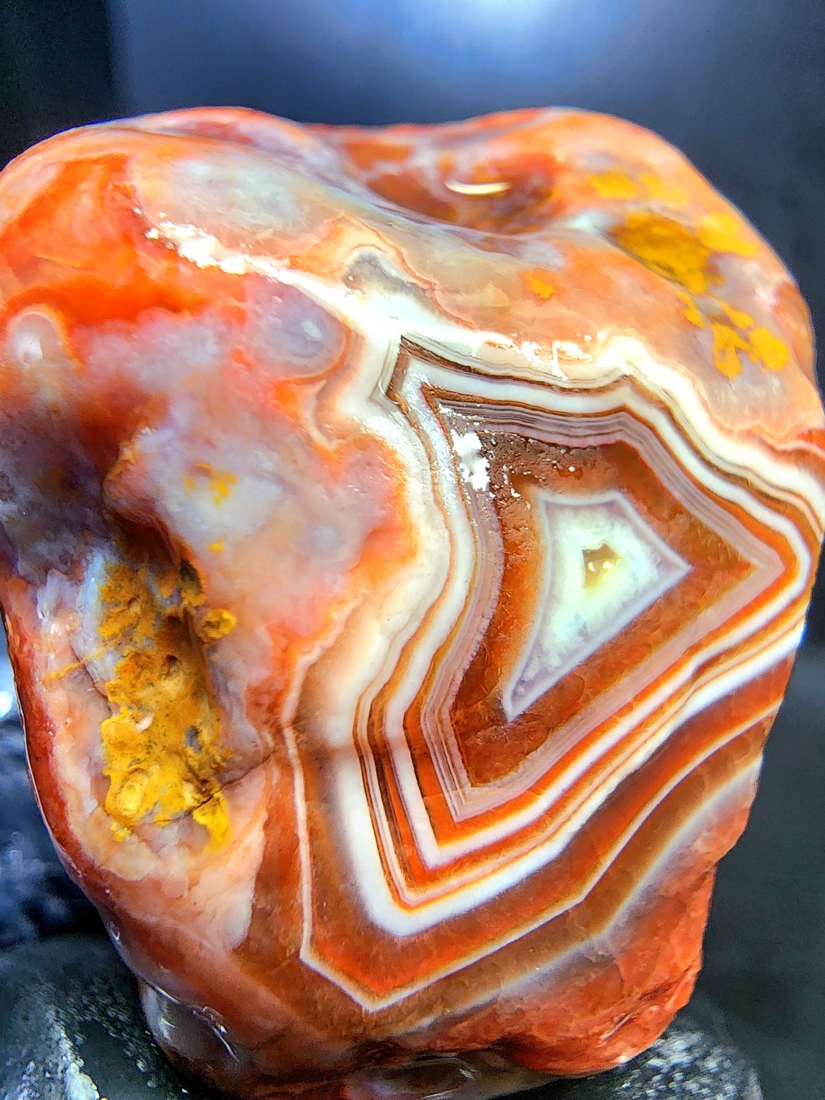 Lake Superior Orbicular Fortification Agate 2.2oz – Human Heart