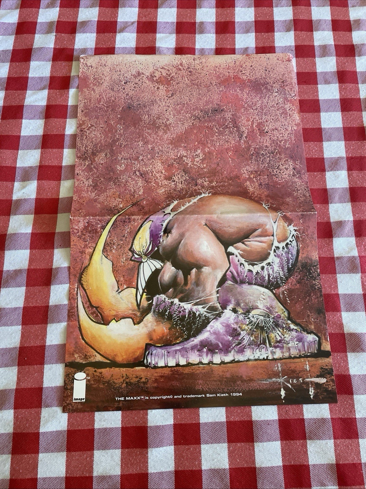 The MAXX by SAM KIETH rare promo poster MTV IMAGE COMICS 1994 11×17