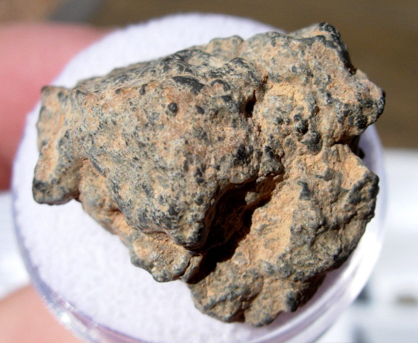 6.85 grams 22x20x13mm Gadamis 004 Lunar Meteorite as found individual with a COA