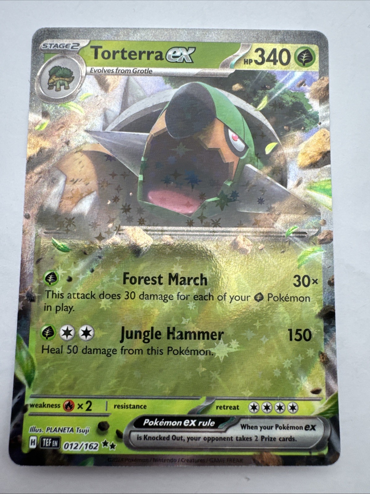 Torterra ex 012/162 Double Rare Temporal Forces Pokemon Near Mint