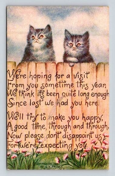 Kittens Peeking Over Fence Waiting For Your Visit – G.K. Prince Postcard 1912