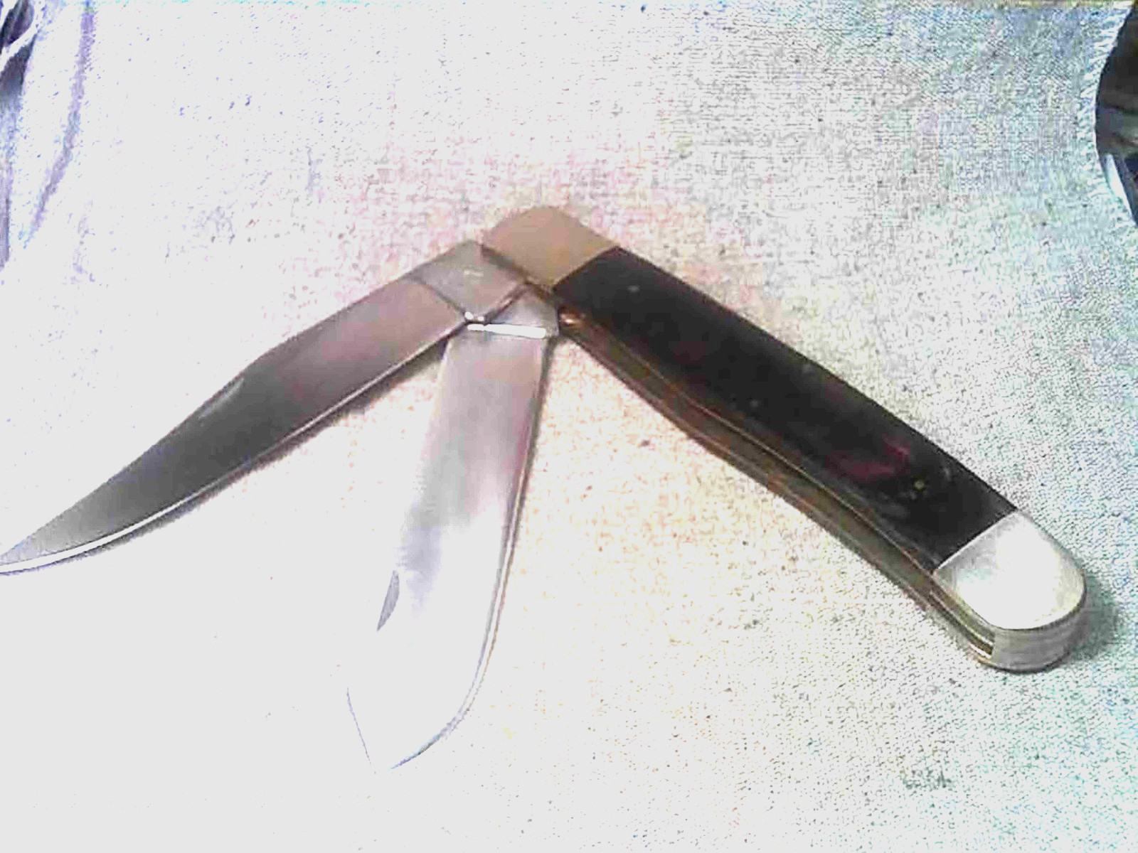 JUMBO DISPLAY KING TRAPPER KNIFE 8″ Dark Brown Hardwood Handles 2-German Blades