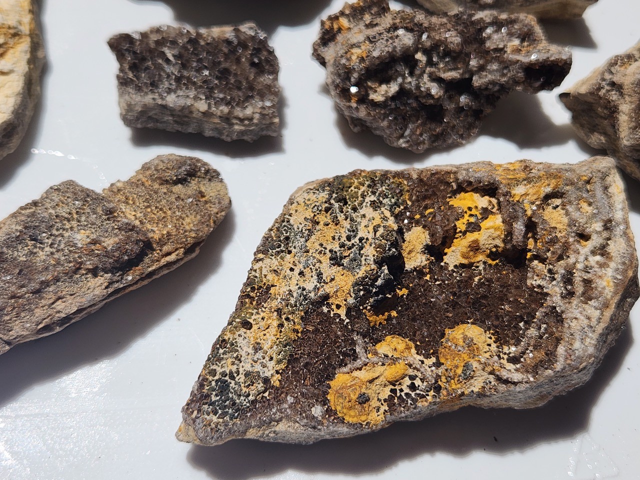 12 PIECE LOT Brilliant Petrified Wood Smoky Fossil Quartz Crystal Alabama 3