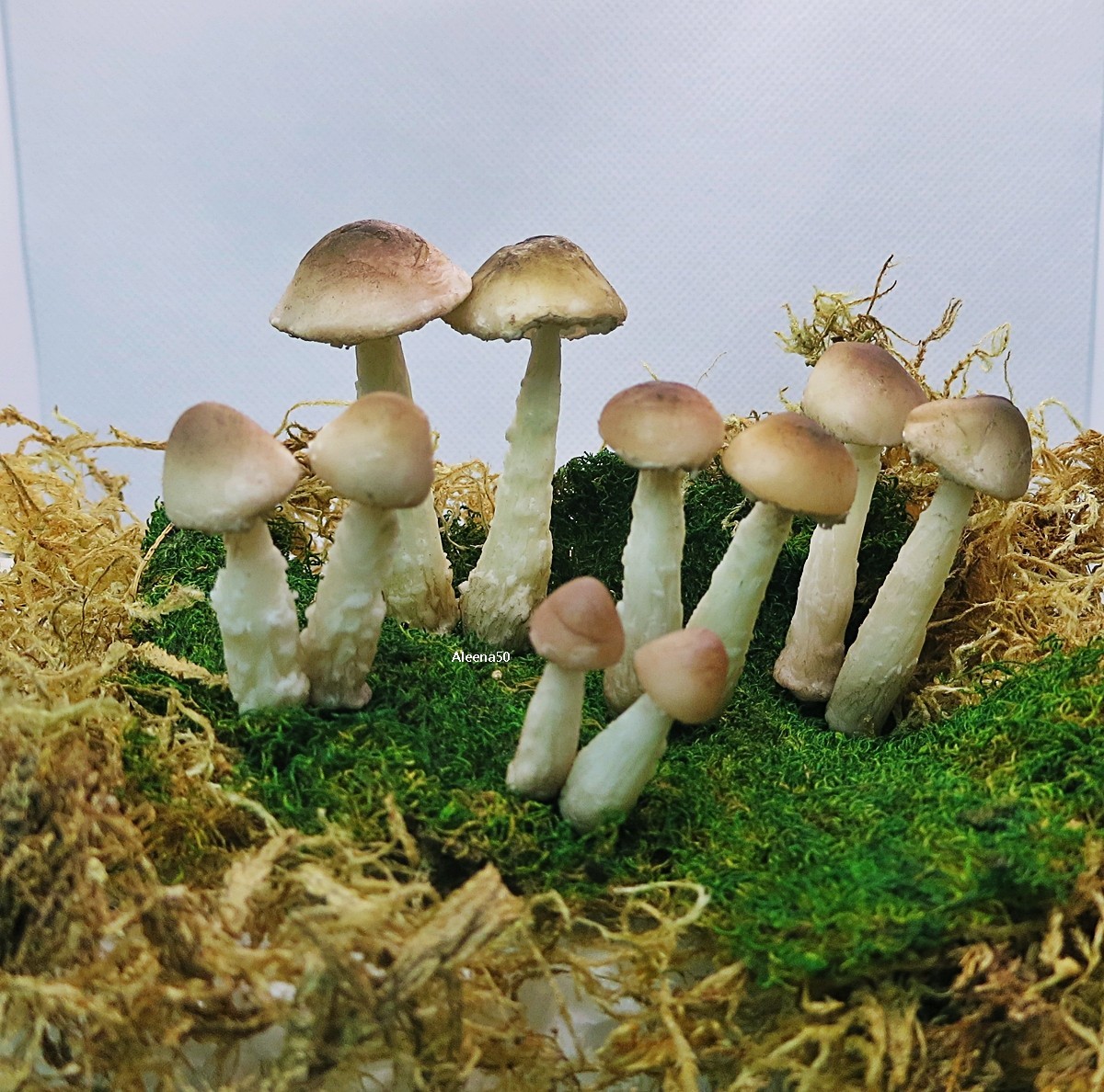 10-Pack Handmade Miniature ClayCrafted Artificial Loose Wild Mushrooms US Stock.