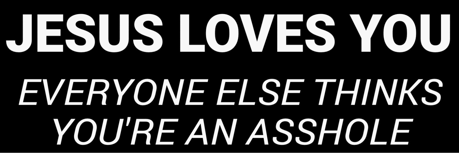 FUNNY BUMPER STICKER DECAL “JESUS LOVES YOU”