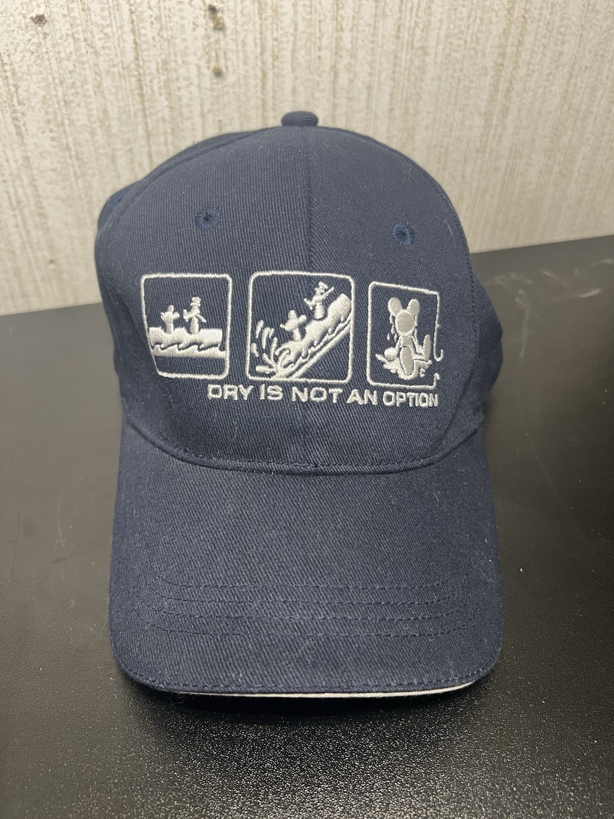 Walt Disney World Splash Mountain “Dry Is Not an Option” Mickey Blue Cap