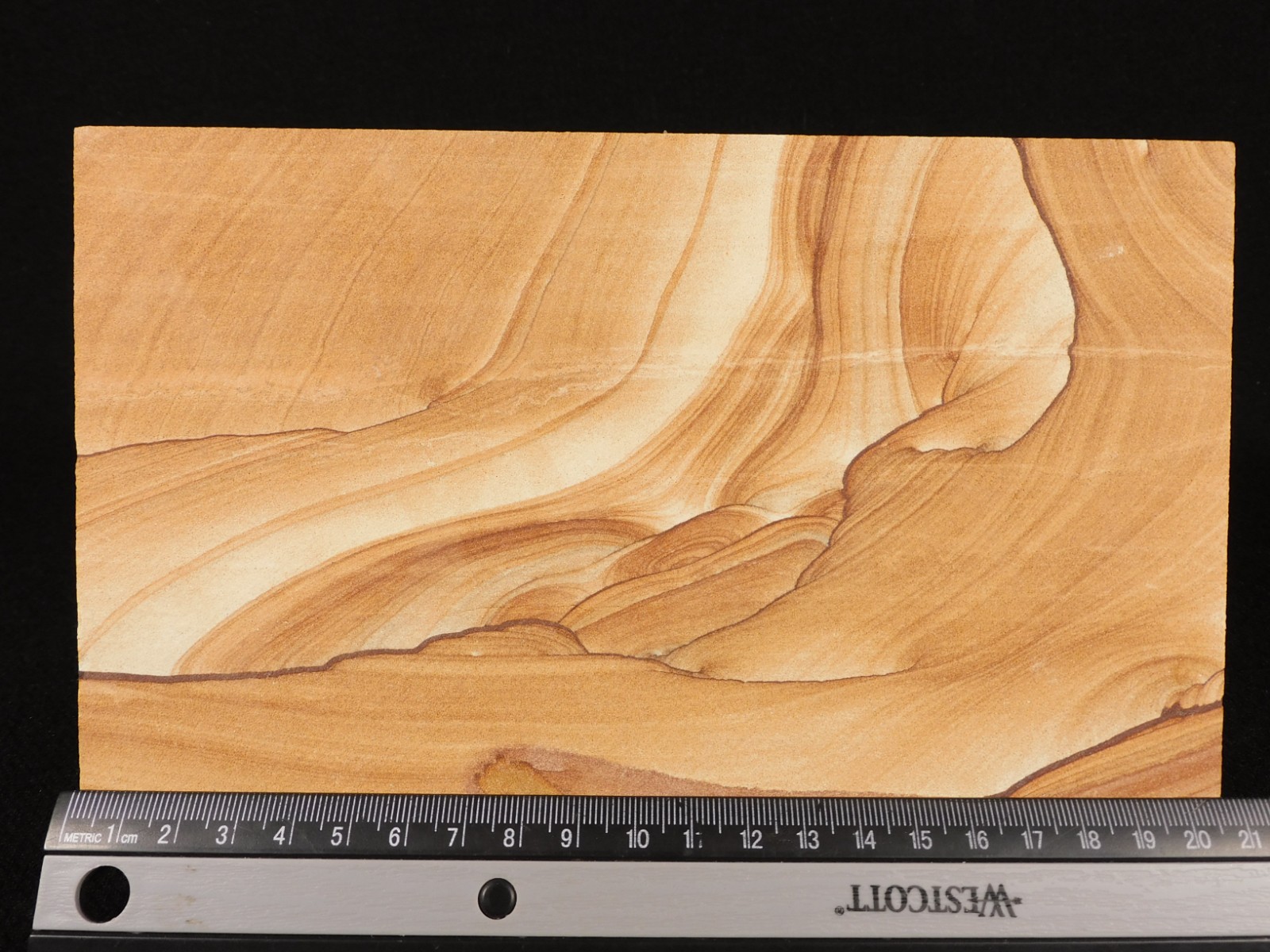 LARGER! PICTURE Stone / SANDSTONE Slice/Slab with Display Stand Utah 566gr