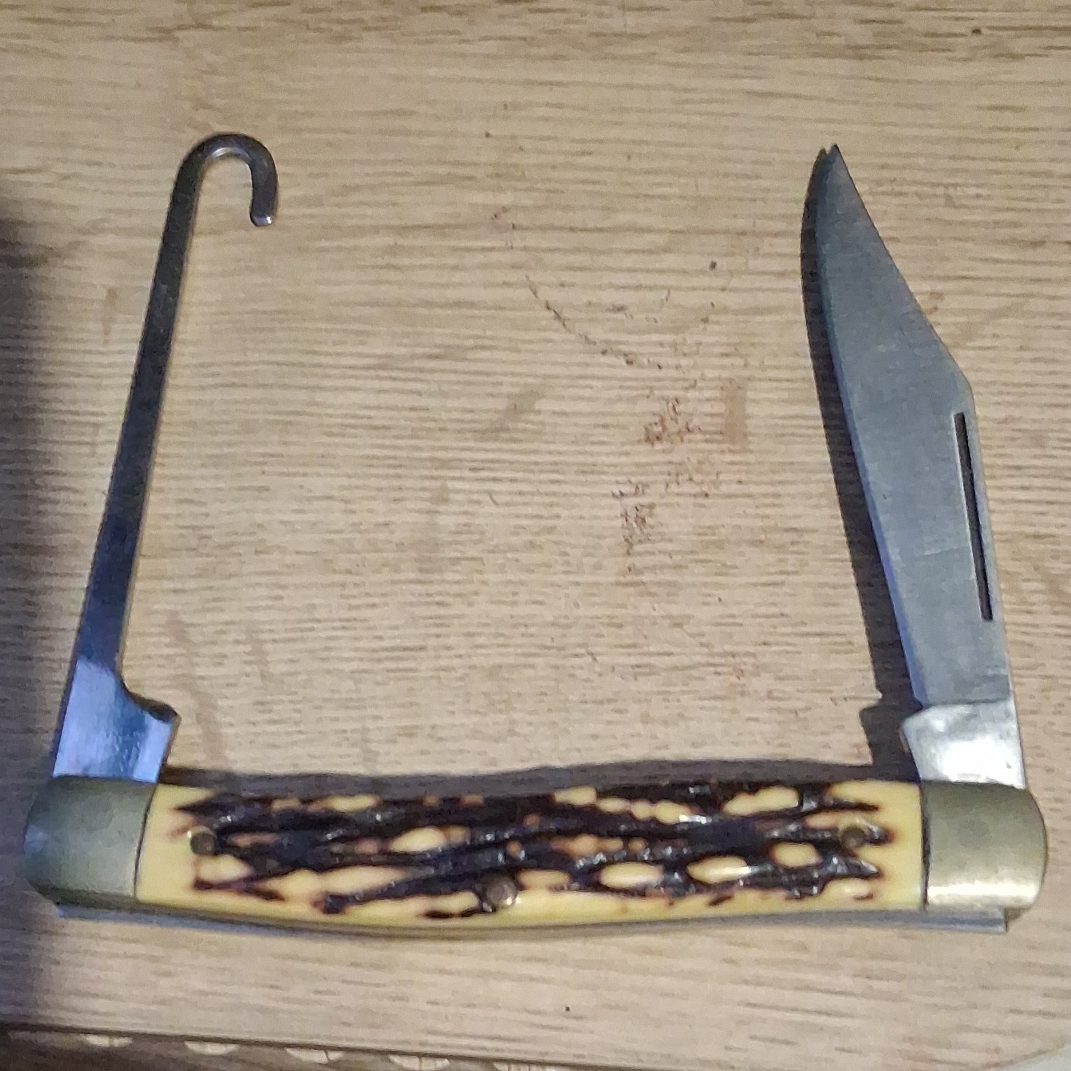 Bone Handle Folding Pocketknife, Stainless Clip Point Blade, Slipjoint Gut Hook