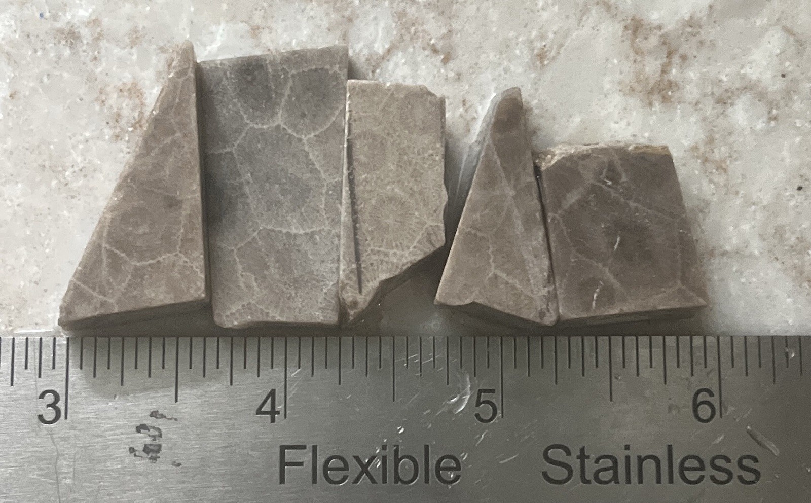 5 Petoskey Stone Cut Offs 30grams 34,33,28,27 & 21mm Michigan Limestone