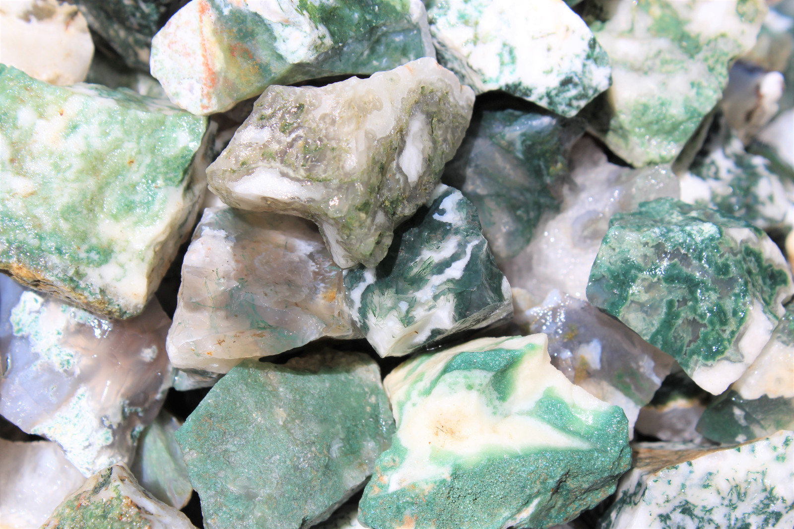 1 Single Natural Rough Tree Agate (Stone Mineral Specimen Raw Rock)